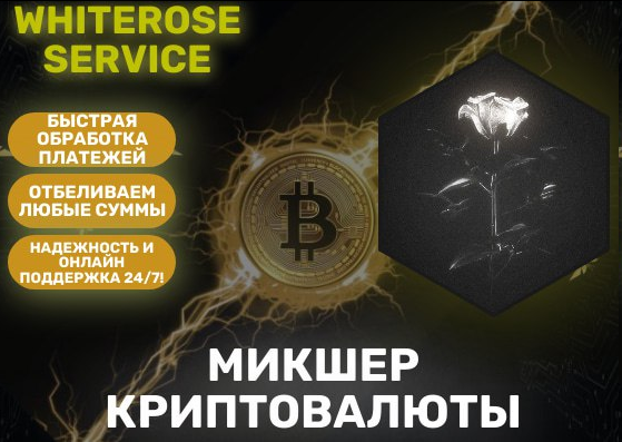 1758319500170.png