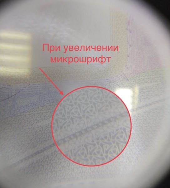 IMG_4809.jpeg
